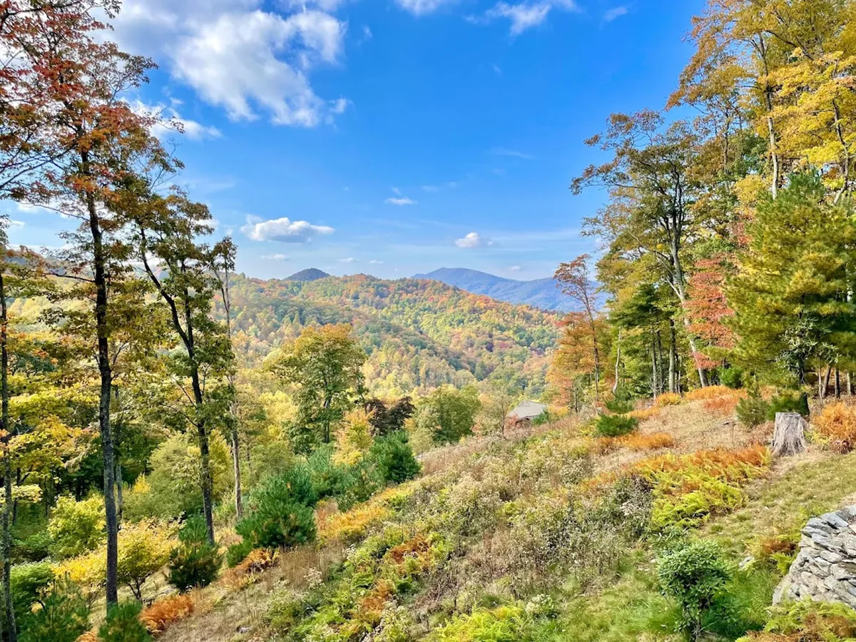 A breathtaking view of a mountain range framed by colorful foliage and a wide, open sky. The landscape evokes the expansive beauty and tranquility of the Blue Ridge Parkway, inviting thoughts of hiking, picnicking, and the serenity found in nature.
